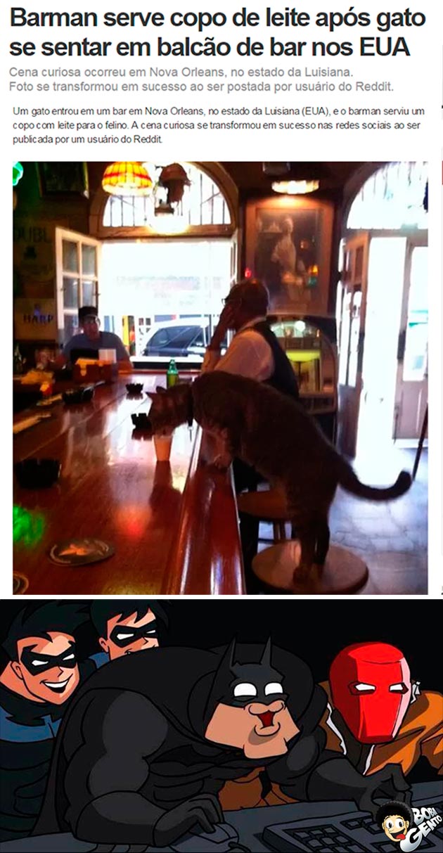 barman-serve-gatinho