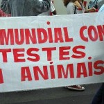 Estão proibidos os testes em animais