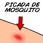 Aprenda a eliminar a coceira de picada de mosquito