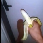 Alimentando um macaquinho bêbado com banana na pró...