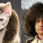Putin e o gato